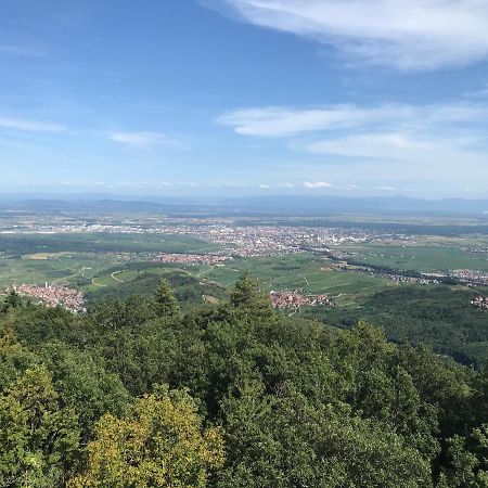Le Belvédère - GÎTES MARCK Turckheim Extérieur photo
