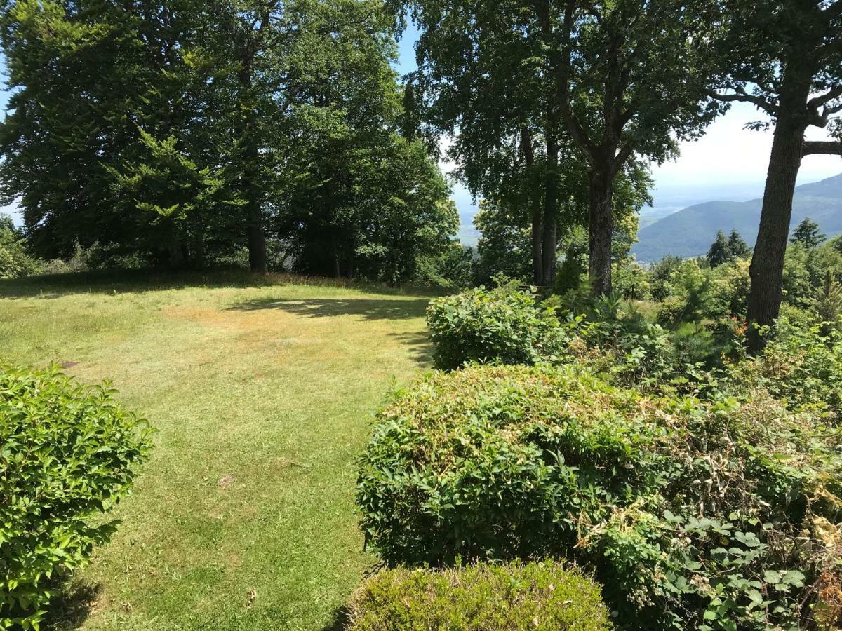 Le Belvédère - GÎTES MARCK Turckheim Extérieur photo
